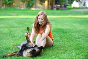 pet's skin allergies